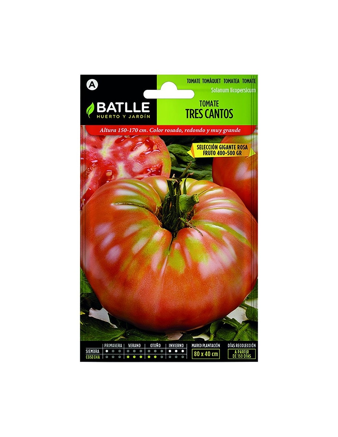 Black Cherry Tomato - Semillas Batlle - Huerto y Jardín