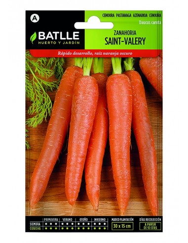 Zanahoria Saint Valery Muy Precoz En...