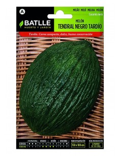 Melon Tendral Negro Tardio...