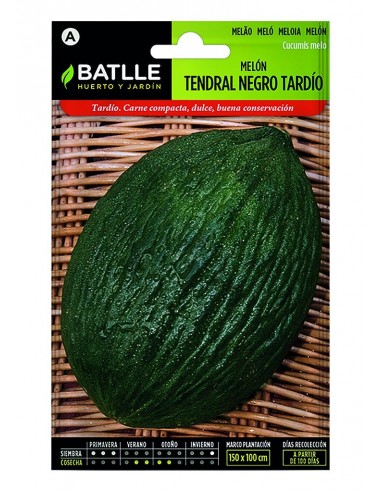 Melon Tendral Negro Tardio En Sobres