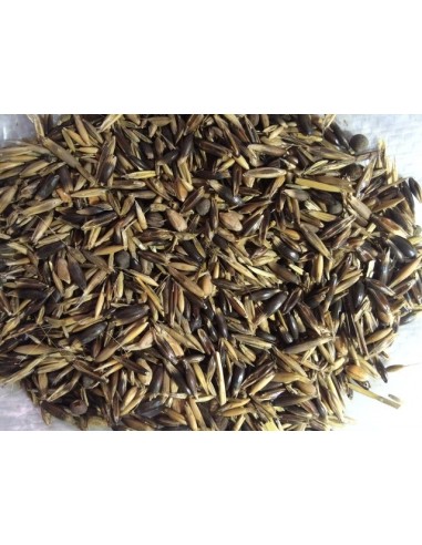 AVENA ECOLOGICA EN GRANO SACO 20Kgr