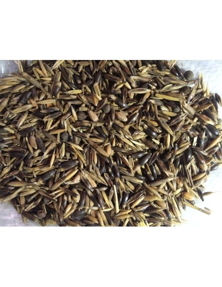 AVENA ECOLOGICA EN GRANO SACO 20Kgr
