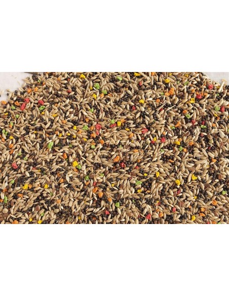 Mixtura Canario 5Kg