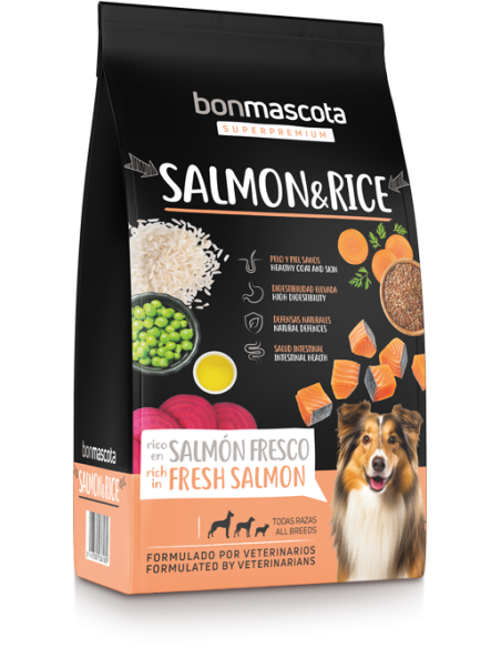 BONMASCOTA SALMON&RICE 10KG
