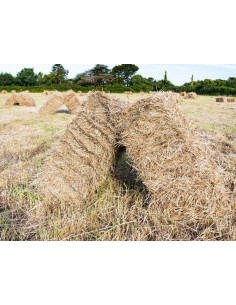 BALA DE HENO 23-26KG APROX.